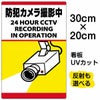 イラスト看板 「防犯カメラ撮影中」 特小サイズ(30cm×20cm)  表示板 縦型 監視カメラ 商品一覧/プレート看板・シール/注意・禁止・案内/防犯用看板