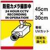 イラスト看板 「防犯カメラ撮影中」 小サイズ(45cm×30cm)  表示板 縦型 監視カメラ 商品一覧/プレート看板・シール/注意・禁止・案内/防犯用看板