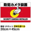 イラスト看板 「防犯カメラ設置」 小サイズ(45cm×30cm)  表示板 横型 監視カメラ 商品一覧/プレート看板・シール/注意・禁止・案内/防犯用看板