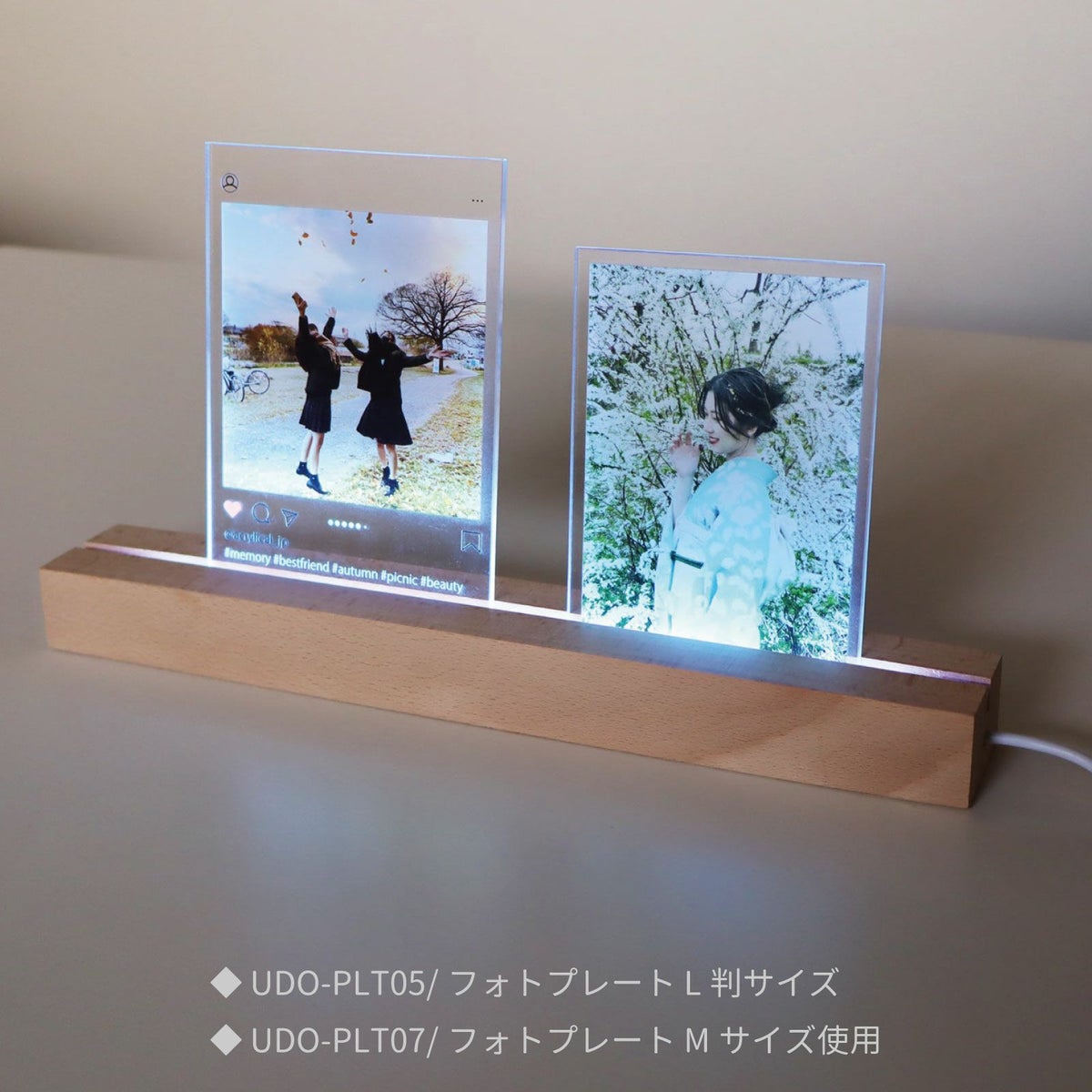 ムードライト 卓上LED照明 W300mm フォトプレート専用 木質